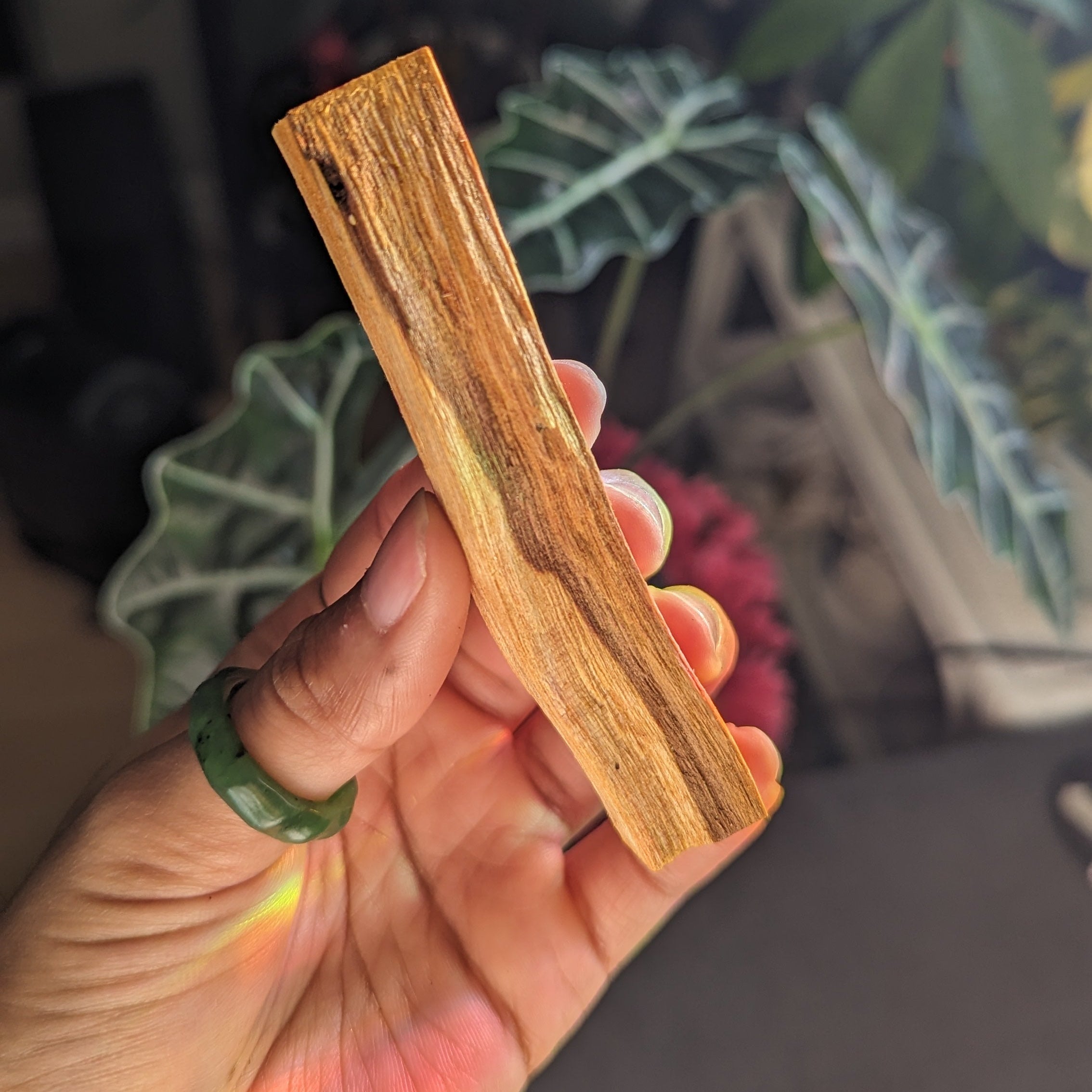 Hand holding a wooden palo santo stick with a blurred indoor background